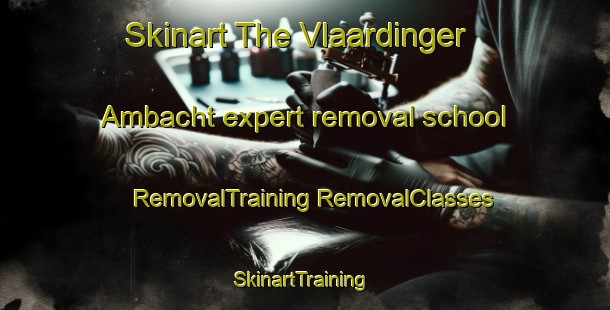 Skinart The Vlaardinger Ambacht expert removal school | #RemovalTraining #RemovalClasses #SkinartTraining-Netherlands