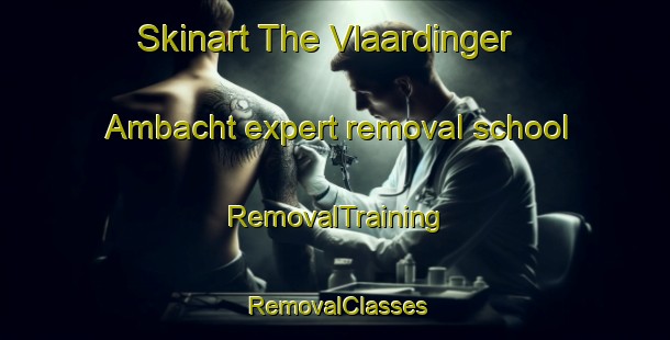Skinart The Vlaardinger Ambacht expert removal school | RemovalTraining | RemovalClasses | SkinartTraining-Netherlands