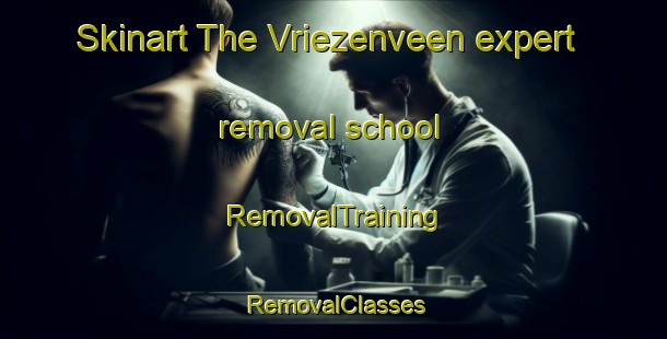 Skinart The Vriezenveen expert removal school | RemovalTraining | RemovalClasses | SkinartTraining-Netherlands