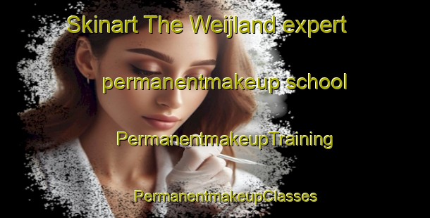 Skinart The Weijland expert permanentmakeup school | #PermanentmakeupTraining #PermanentmakeupClasses #SkinartTraining-Netherlands