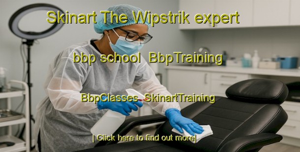 Skinart The Wipstrik expert bbp school | BbpTraining | BbpClasses | SkinartTraining-Netherlands