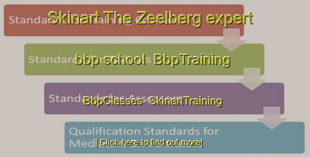 Skinart The Zeelberg expert bbp school | BbpTraining | BbpClasses | SkinartTraining-Netherlands