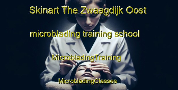Skinart The Zwaagdijk Oost microblading training school | MicrobladingTraining | MicrobladingClasses | SkinartTraining-Netherlands