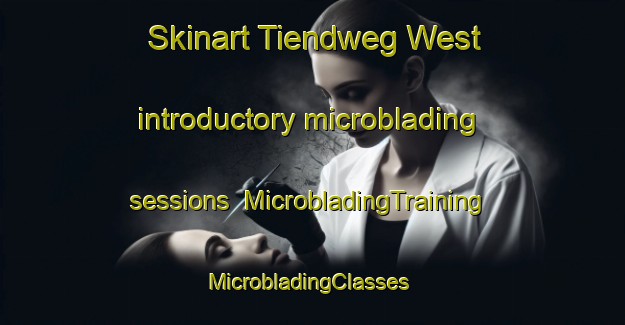 Skinart Tiendweg West introductory microblading sessions | MicrobladingTraining | MicrobladingClasses | SkinartTraining-Netherlands
