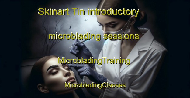 Skinart Tin introductory microblading sessions | #MicrobladingTraining #MicrobladingClasses #SkinartTraining-Netherlands