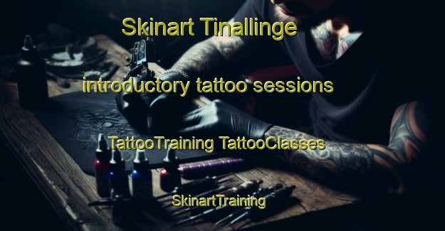 Skinart Tinallinge introductory tattoo sessions | #TattooTraining #TattooClasses #SkinartTraining-Netherlands