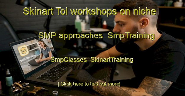 Skinart Tol workshops on niche SMP approaches | SmpTraining | SmpClasses | SkinartTraining-Netherlands