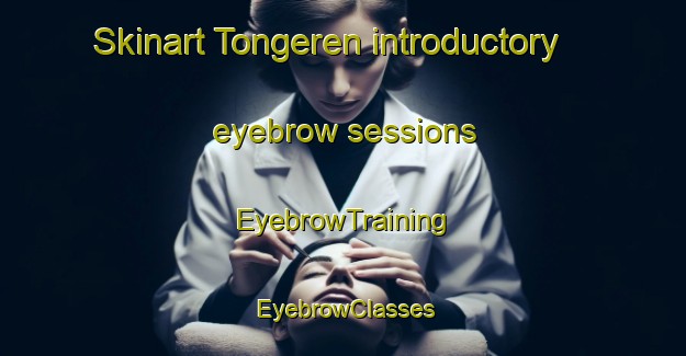 Skinart Tongeren introductory eyebrow sessions | EyebrowTraining | EyebrowClasses | SkinartTraining-Netherlands