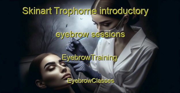 Skinart Trophorne introductory eyebrow sessions | EyebrowTraining | EyebrowClasses | SkinartTraining-Netherlands