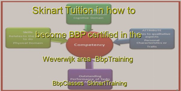 Skinart Tuition in how to become BBP certified in the Weverwijk area | BbpTraining | BbpClasses | SkinartTraining-Netherlands