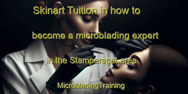 Skinart Tuition in how to become a microblading expert in the Stampersgat area | MicrobladingTraining | MicrobladingClasses | SkinartTraining-Netherlands