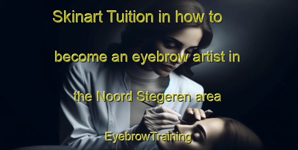 Skinart Tuition in how to become an eyebrow artist in the Noord Stegeren area | EyebrowTraining | EyebrowClasses | SkinartTraining-Netherlands