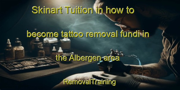 Skinart Tuition in how to become tattoo removal fundi in the Albergen area | RemovalTraining | RemovalClasses | SkinartTraining-Netherlands