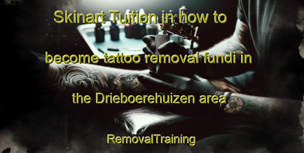 Skinart Tuition in how to become tattoo removal fundi in the Drieboerehuizen area | RemovalTraining | RemovalClasses | SkinartTraining-Netherlands