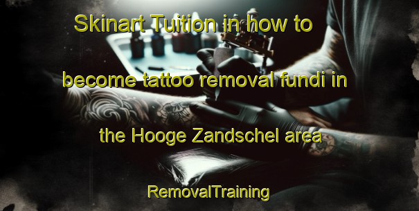 Skinart Tuition in how to become tattoo removal fundi in the Hooge Zandschel area | RemovalTraining | RemovalClasses | SkinartTraining-Netherlands