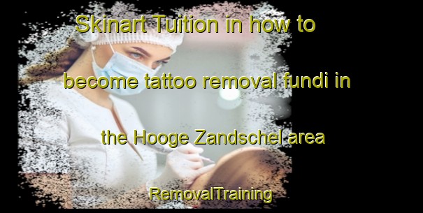 Skinart Tuition in how to become tattoo removal fundi in the Hooge Zandschel area | RemovalTraining | RemovalClasses | SkinartTraining-Netherlands