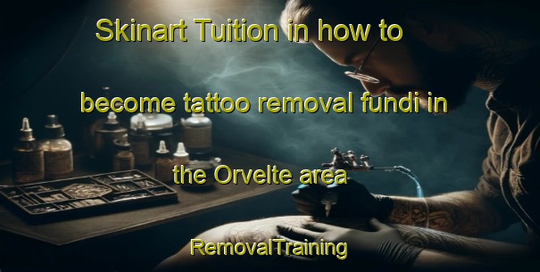 Skinart Tuition in how to become tattoo removal fundi in the Orvelte area | RemovalTraining | RemovalClasses | SkinartTraining-Netherlands