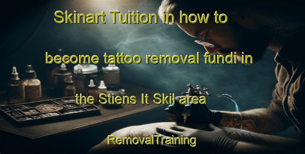 Skinart Tuition in how to become tattoo removal fundi in the Stiens It Skil area | RemovalTraining | RemovalClasses | SkinartTraining-Netherlands
