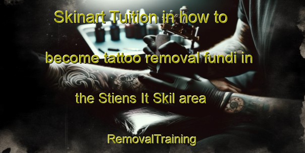 Skinart Tuition in how to become tattoo removal fundi in the Stiens It Skil area | RemovalTraining | RemovalClasses | SkinartTraining-Netherlands
