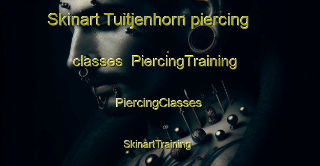 Skinart Tuitjenhorn piercing classes | #PiercingTraining #PiercingClasses #SkinartTraining-Netherlands