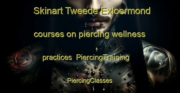 Skinart Tweede Exloermond courses on piercing wellness practices | #PiercingTraining #PiercingClasses #SkinartTraining-Netherlands