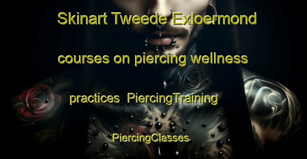 Skinart Tweede Exloermond courses on piercing wellness practices | PiercingTraining | PiercingClasses | SkinartTraining-Netherlands