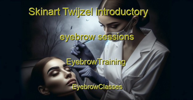 Skinart Twijzel introductory eyebrow sessions | EyebrowTraining | EyebrowClasses | SkinartTraining-Netherlands