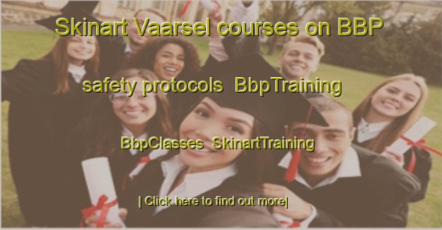 Skinart Vaarsel courses on BBP safety protocols | BbpTraining | BbpClasses | SkinartTraining-Netherlands