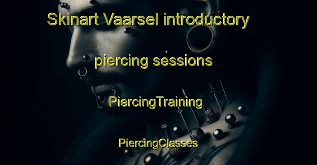 Skinart Vaarsel introductory piercing sessions | #PiercingTraining #PiercingClasses #SkinartTraining-Netherlands