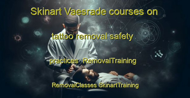 Skinart Vaesrade courses on tattoo removal safety practices | #RemovalTraining #RemovalClasses #SkinartTraining-Netherlands