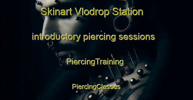 Skinart Vlodrop Station introductory piercing sessions | #PiercingTraining #PiercingClasses #SkinartTraining-Netherlands