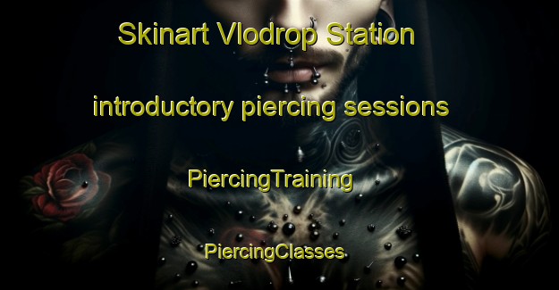 Skinart Vlodrop Station introductory piercing sessions | PiercingTraining | PiercingClasses | SkinartTraining-Netherlands