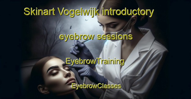 Skinart Vogelwijk introductory eyebrow sessions | EyebrowTraining | EyebrowClasses | SkinartTraining-Netherlands