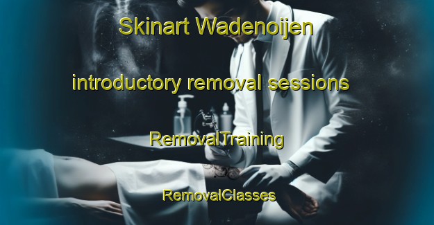 Skinart Wadenoijen introductory removal sessions | RemovalTraining | RemovalClasses | SkinartTraining-Netherlands