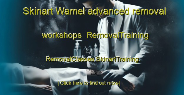 Skinart Wamel advanced removal workshops | #RemovalTraining #RemovalClasses #SkinartTraining-Netherlands