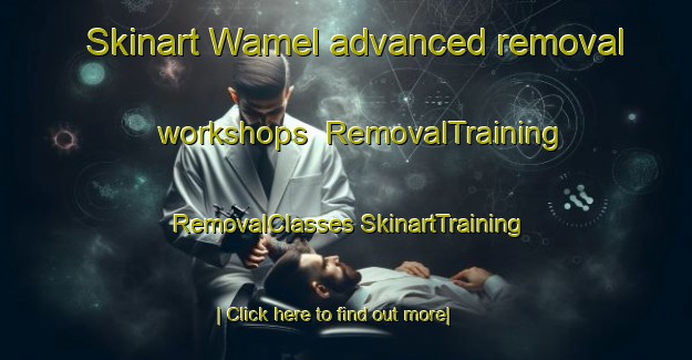 Skinart Wamel advanced removal workshops | #RemovalTraining #RemovalClasses #SkinartTraining-Netherlands