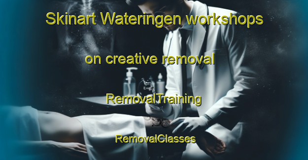 Skinart Wateringen workshops on creative removal | RemovalTraining | RemovalClasses | SkinartTraining-Netherlands