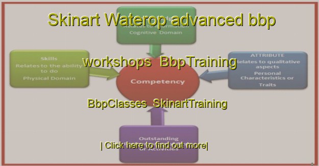 Skinart Waterop advanced bbp workshops | BbpTraining | BbpClasses | SkinartTraining-Netherlands