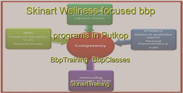 Skinart Wellness-focused bbp programs in Putkop | BbpTraining | BbpClasses | SkinartTraining-Netherlands