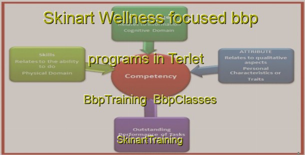 Skinart Wellness-focused bbp programs in Terlet | BbpTraining | BbpClasses | SkinartTraining-Netherlands