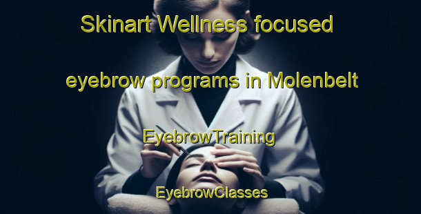 Skinart Wellness-focused eyebrow programs in Molenbelt | EyebrowTraining | EyebrowClasses | SkinartTraining-Netherlands