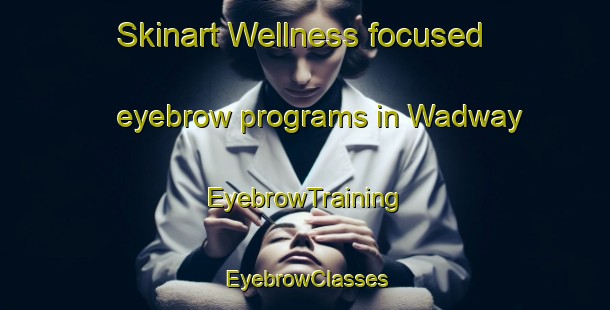 Skinart Wellness-focused eyebrow programs in Wadway | EyebrowTraining | EyebrowClasses | SkinartTraining-Netherlands