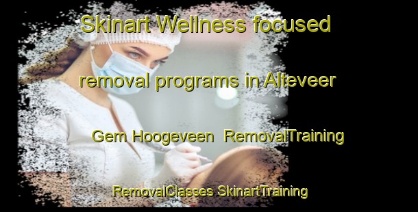 Skinart Wellness-focused removal programs in Alteveer Gem Hoogeveen | #RemovalTraining #RemovalClasses #SkinartTraining-Netherlands