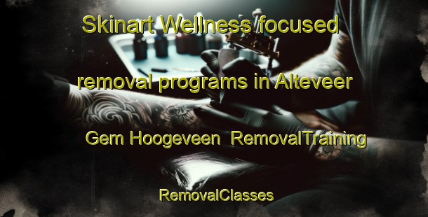 Skinart Wellness-focused removal programs in Alteveer Gem Hoogeveen | RemovalTraining | RemovalClasses | SkinartTraining-Netherlands