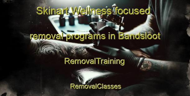 Skinart Wellness-focused removal programs in Bandsloot | RemovalTraining | RemovalClasses | SkinartTraining-Netherlands