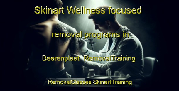 Skinart Wellness-focused removal programs in Beerenplaat | #RemovalTraining #RemovalClasses #SkinartTraining-Netherlands