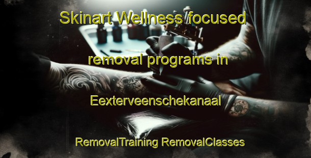 Skinart Wellness-focused removal programs in Eexterveenschekanaal | #RemovalTraining #RemovalClasses #SkinartTraining-Netherlands