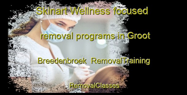 Skinart Wellness-focused removal programs in Groot Breedenbroek | RemovalTraining | RemovalClasses | SkinartTraining-Netherlands