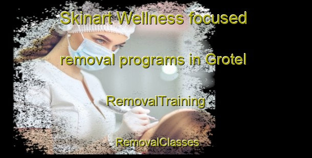 Skinart Wellness-focused removal programs in Grotel | RemovalTraining | RemovalClasses | SkinartTraining-Netherlands