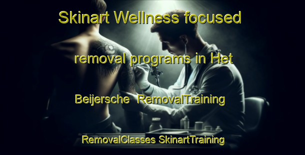 Skinart Wellness-focused removal programs in Het Beijersche | #RemovalTraining #RemovalClasses #SkinartTraining-Netherlands